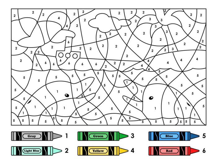 Color by number net force