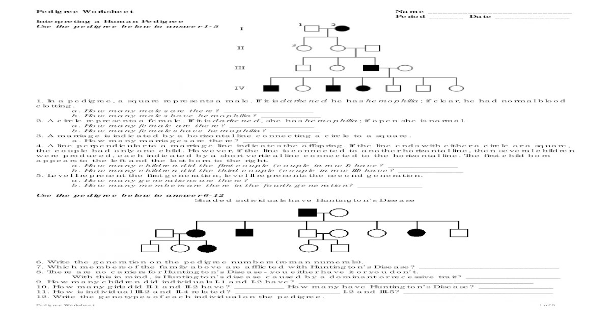 Hidaya's story pedigree answer key