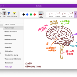 Onenote captures your ideas and schoolwork