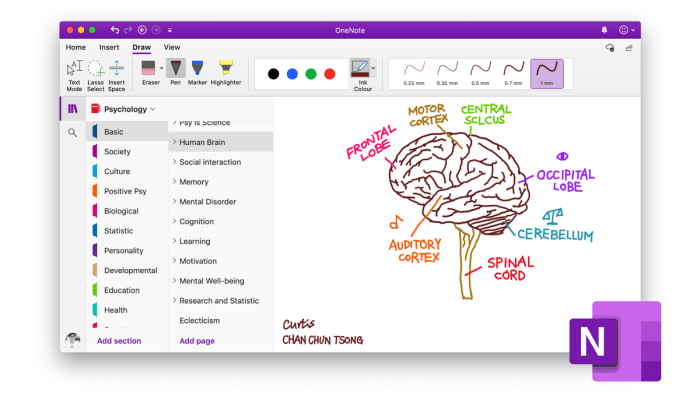 Onenote captures your ideas and schoolwork